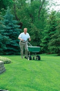 Organic Lawn Care Programs & Crabgrass Control- Maryland