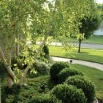 Organic Tree & Shrub Lawn Care in Gaithersburg MD & Beyond