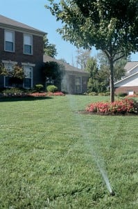 Watering- Organic Lawn Care Gaithersburg MD