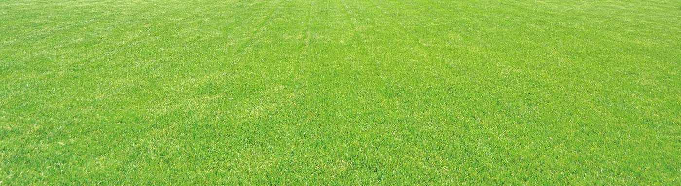 Cut Healthy Grass-Organic Lawn Care, Weed Control, and Crabgrass Control- Gaithersburg MD