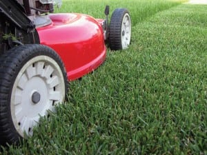 Lawn Mowing- Organic Lawn Care Service Gaithersburg MD