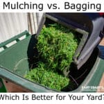 mulching vs bagging: which is best for your yard?