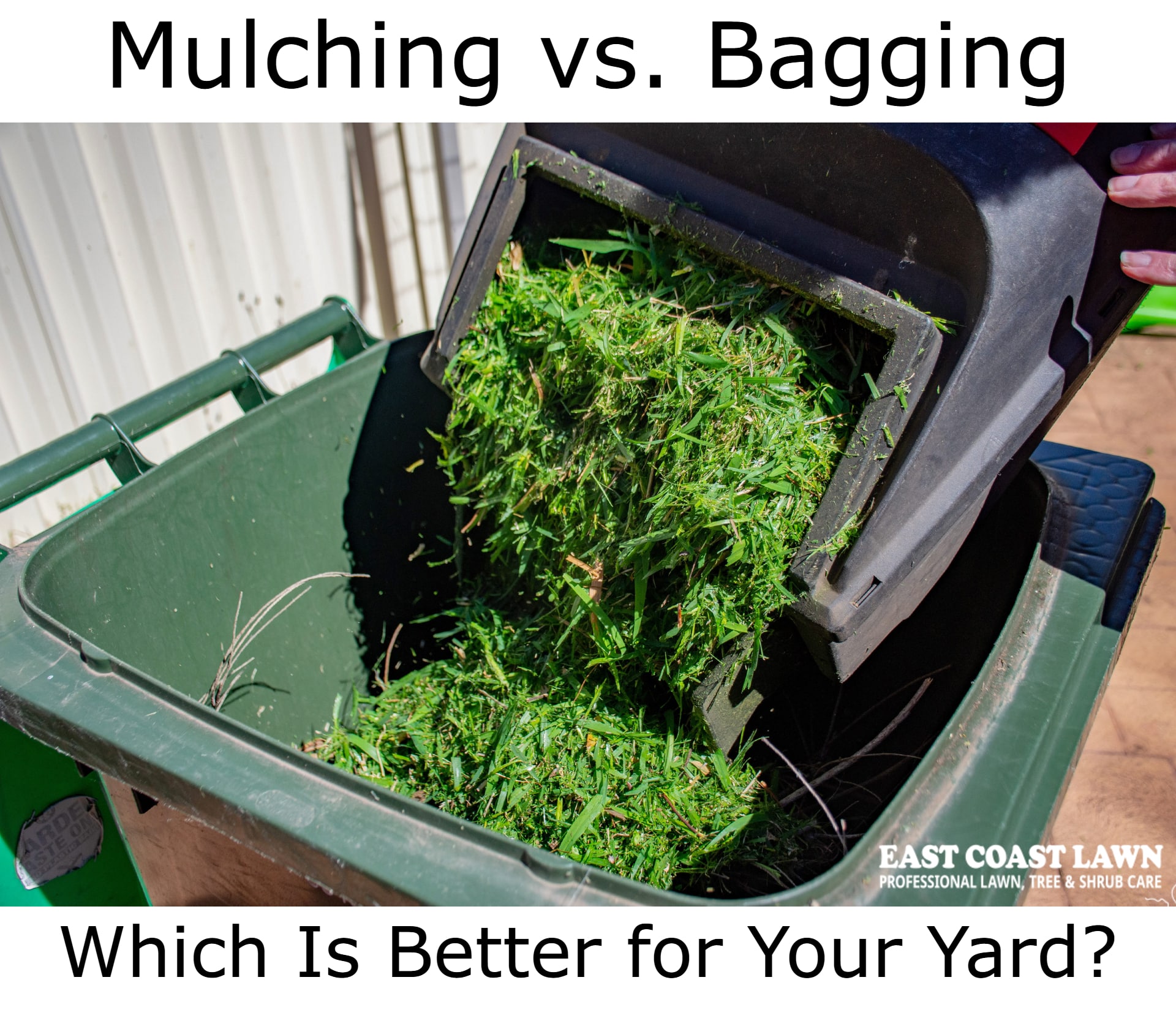 mulching vs bagging: which is best for your yard?